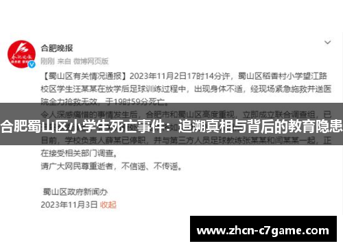 合肥蜀山区小学生死亡事件：追溯真相与背后的教育隐患
