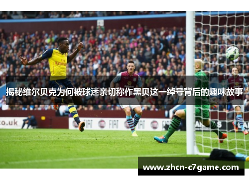 揭秘维尔贝克为何被球迷亲切称作黑贝这一绰号背后的趣味故事 揭秘维尔贝克为何被球迷亲切称作黑贝这一绰号背后的趣味故事